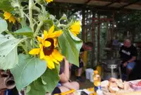 (VIDEO in FOTO) Golaž, glasba in dobra volja: Gradiška golažijada znova uspela